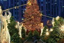 NY See the Holiday Lights! Tour